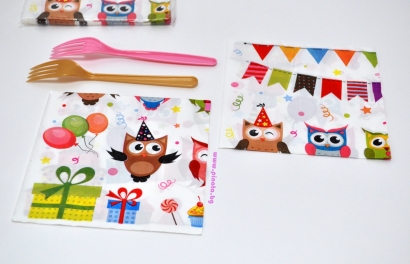 Парти салфетки Бухалчета 33х33 см /Tr/