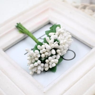 Захарни тичинки бели /Sa/