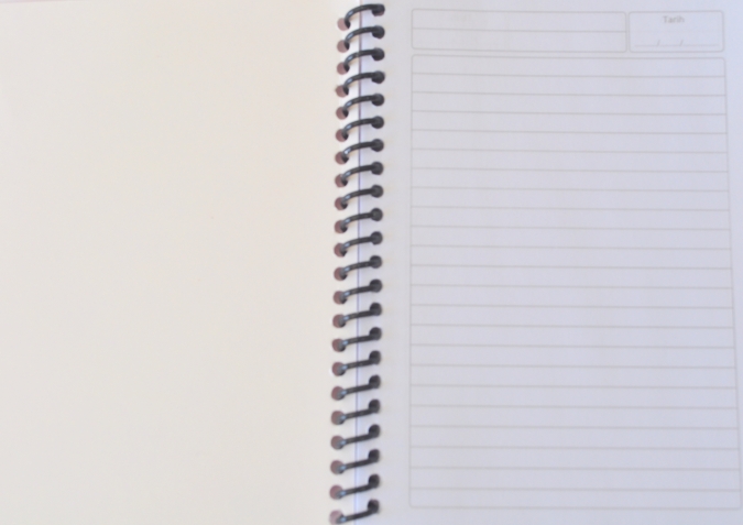 Тефтерче Маккуин колите /Tr/