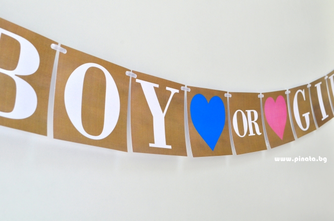 Банер гирлянд Момче или Момиче  разкриване на пола / Boy or Girl, 10 флагчета, 2,00 м дължина
