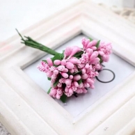 Захарни тичинки розови /Sa/