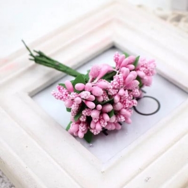 Захарни тичинки розови /Sa/