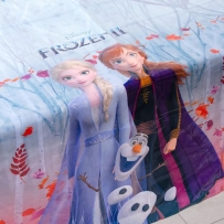 Парти покривка Елза и Ана Замръзналото Кралство 2 / Frozen 2,  120х180 см, лицензирана