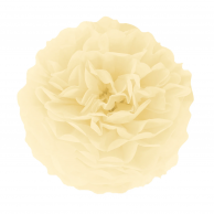 Помпон от екрю тишу хартия 35 см /Pp/