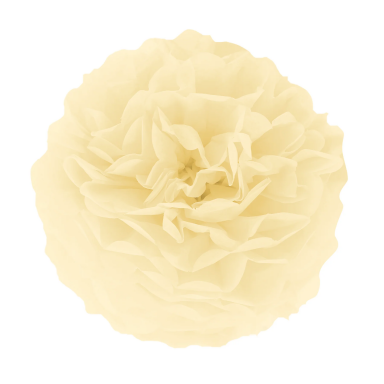 Помпон от екрю тишу хартия 35 см /Pp/