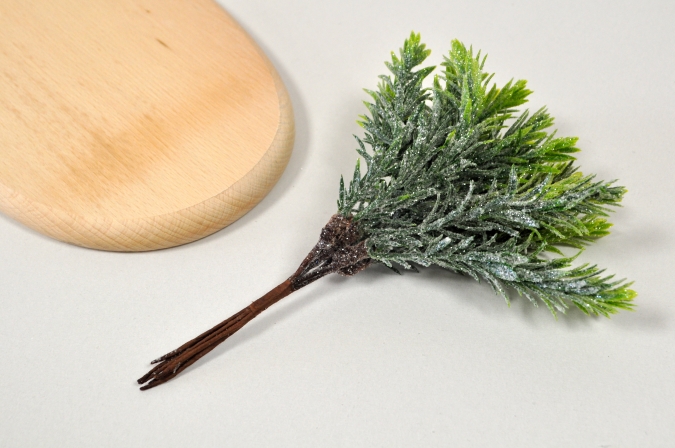 Брокатена зелена клонка /Sa/