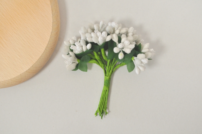 Захарни тичинки бели /Sa/