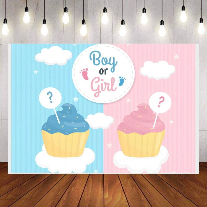Винил за фон /декорация/ за разкриване на пола Boy or Girl, размер 100х70см