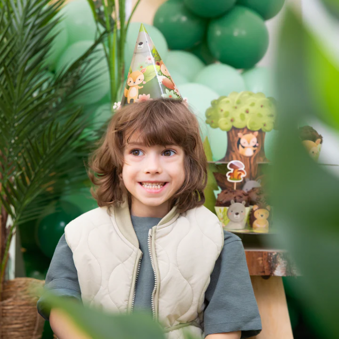 Парти шапка Горски животни, 6 бр. в опаковка /Pp/